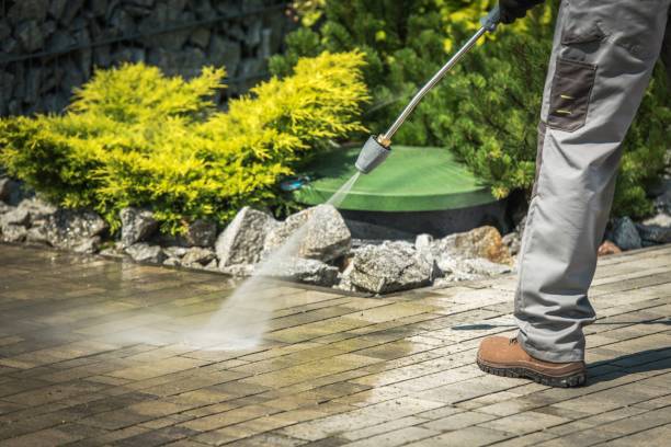Best Soft Washing for Delicate Surfaces in Morrice, MI