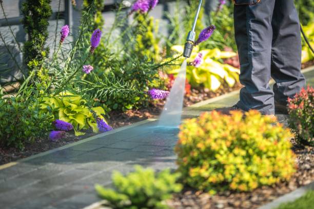 Best Commercial Pressure Washing in Morrice, MI