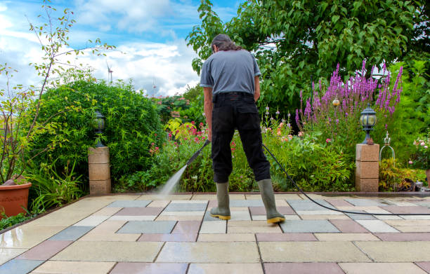 Best Gutter Cleaning and Brightening in Morrice, MI