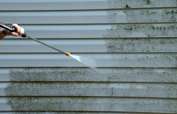 Best Fence Cleaning and Maintenance in Morrice, MI
